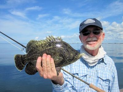 Rusty Chinnis, from Longboat Key, FL, with a tripletail caught and released on a fly while fishing the coastal gulf in Sarasota with Capt. Rick Grassett.