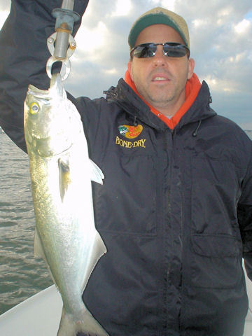 Scott Moore's Sarasota Bay CAL jig blue caught with Capt. Rick Grassett.