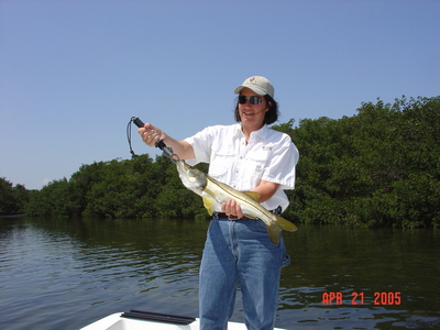 Another Tampa Bay Snook