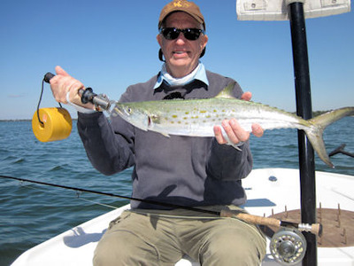 Steve Garrett Sarasota Bay fly Spanish mackerel
