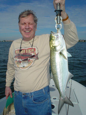 Walt Poxon's Sarasota Bay CAL jig blue caught while fishing with Capt. Rick Grassett.