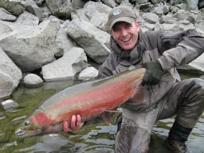 The photo of the week shows Adam Munshaw with a huge Kalum River male Steelhead caught this spring.  This fish was more than triple the size of his previous personal best Steelhead from the Great Lakes.  Adam and his Dad came all the way from Ontario to f