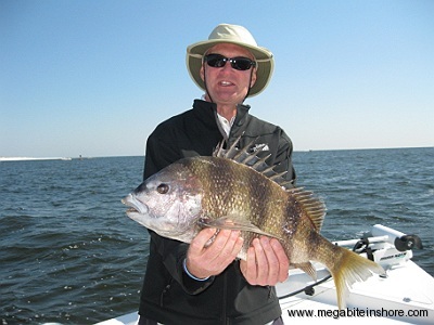 Dave with a Monster Sheepshead