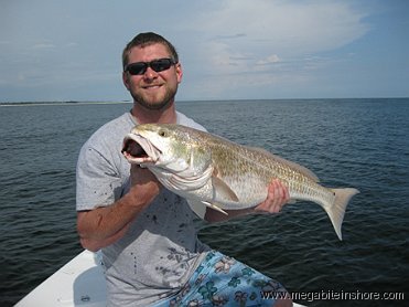 This big bull red hit a live pinfish while fishing in Pensacola Pass.