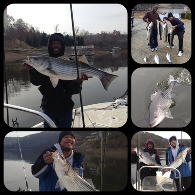TOPWATER STRIPERS CAUGHT ON LEWIS SMITH LAKE, ALABAMA WITH GUIDE MIKE WALKER