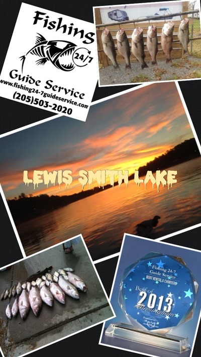 Lewis Smith Lake, Alabama Striped Bass Club - run by Fishing 24-7 Guide Service