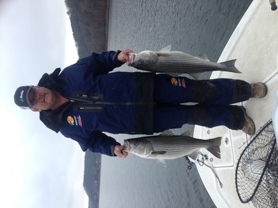 December striped bass from Lewis Smith lake caught by Mike Walker