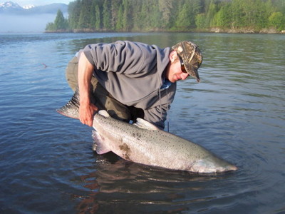 The photo of the week shows angling guide Sky Richard of Nicholas Dean Lodge about to release a huge Skeena River Chinook (King) Salmon. Prime time to fish for these brutes is June, July and August on a number of different rivers using a number of differe