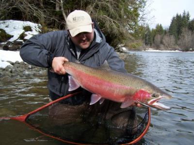 The photo of the week shows Rob Vodola with a beautiful, wild Kalum River Steelhead landed on March 14th.  At this time of year the males are usually brightly colored like this one and the females are more silvery with a single lateral red strip down the