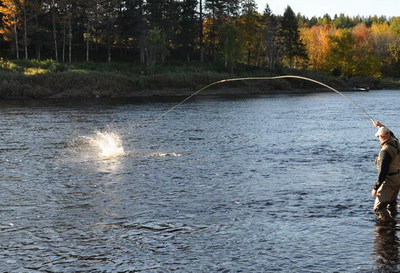 Kevin Mckay Maine landing a salmon on the Renous