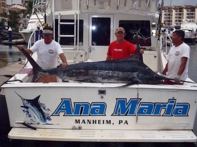 Blue Marlin Jesse Mckinnon Ana Maria Sportfishing