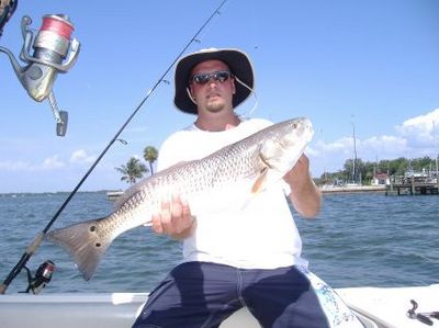 30 inch Redfish