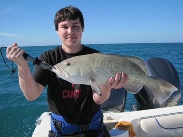 28-inch gag grouper
