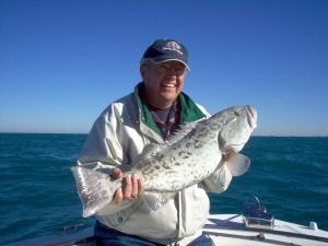 30 inch gag grouper, offshore Bonita Beach, SW FL