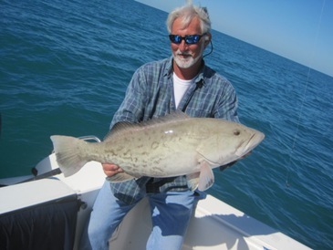 31 1/2 inch gag grouper, released