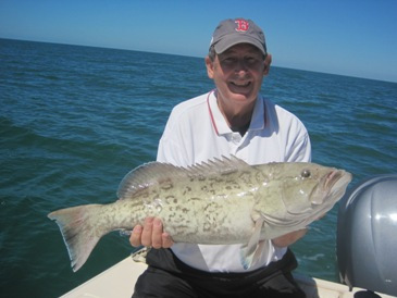 28-inch, 10-pound gag grouper, released
