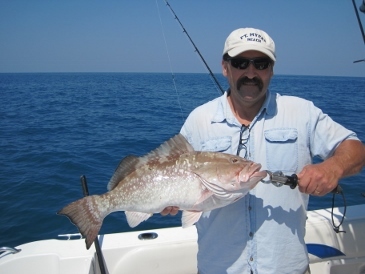 28-inch red grouper on a pinfish