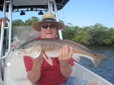 30-inch bull-redfish, released