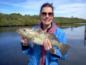 22-inch gag grouper