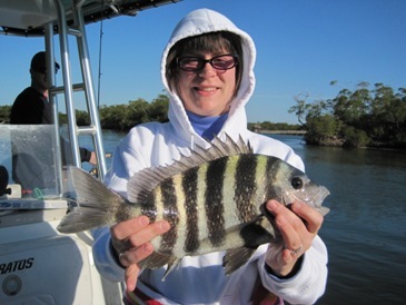 one of three 18-inch sheepshead caught on shrimp by angler, Katie