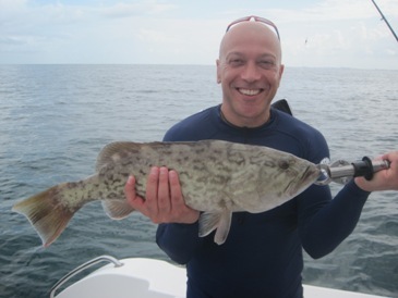 24-inch gag grouper