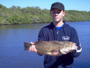 23.5 inch gag grouper