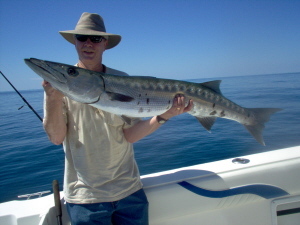 50 inch + barracuda