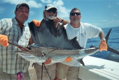 sailfish 100+ pounds-Marathon, FL