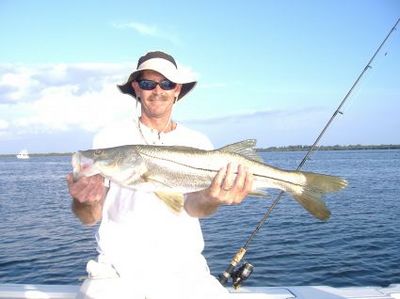 31 inch Snook