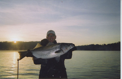 Lake Lanier Bass