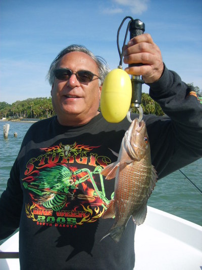 Doc - mangrove snapper