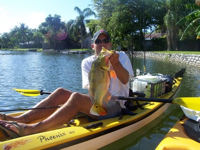 An almost 8# Peacock Bass from Miami area while kayak fishing