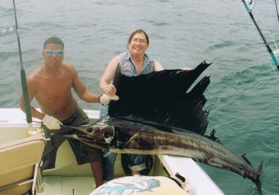 My wife\'s sailfish