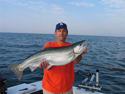 Lake Ontario Steelhead