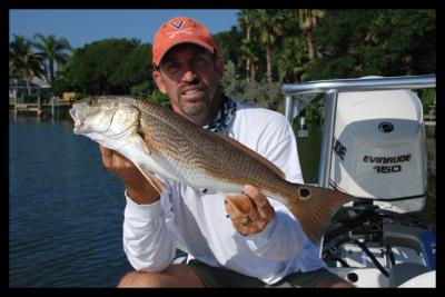 A Red Taken on a soft plastic swim bait.