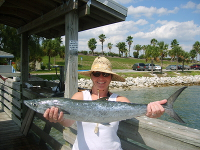 Nice king mackerel caught on a live sardine