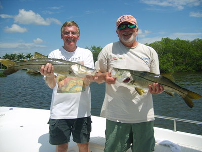 Snook caught while chumming