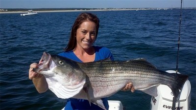 Live-lining provides rookie anglers with a fantastic opportunity to catch a large striped bass.
