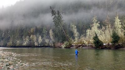 Top 3 Fly Fishing Venues near Vancouver British Columbia