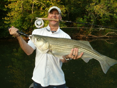 Alabama Lakes for Trophy Striped Bass on a fly