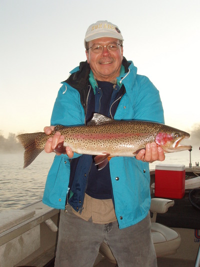 Sacramento river wild rainbow trout