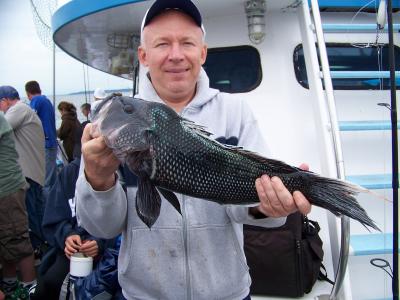  Very Nice 5 1/2 pound Sea Bass.