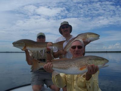 A trio of redfish.