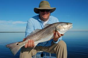 A nice Lagoon Red site casted to on live Shrimp