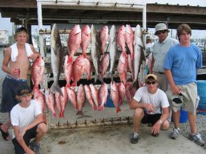 Red Snappers