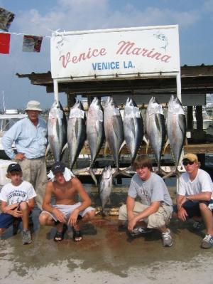 Yellowfin Tunas