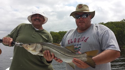 snook caught by bob mcleod fishing on a charter with captain tony frankland