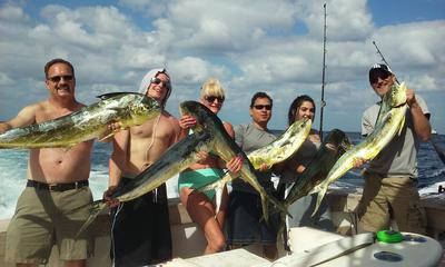 Nice dolphin catch on our sportfishing charter