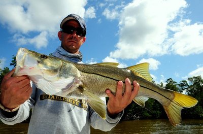 Nice Snook Caught On a Live pilchard