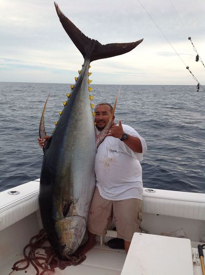 343 lb Yellowfin Tuna Puerto Vallarta fishing